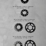 minimods cog set unibody 2 speed 3 speed 4 speed 11 14 16 17 18 19 21